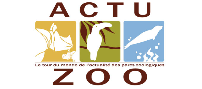 Logo forum actu zoo